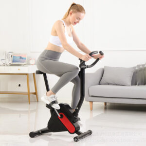 Self-Electric Exercise Bike - Home Fitness